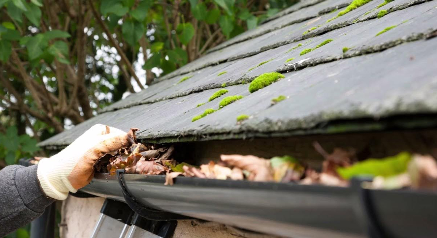 Gutter Cleaning Service in Boston